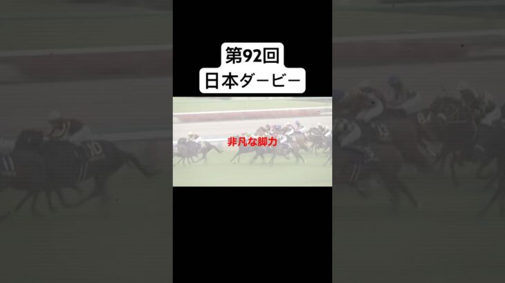 【競馬予想】日本ダービー2025 最終結論 #馬まる #中央競馬予想