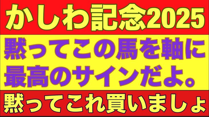 【かしわ記念2025】のサイン軸馬予想！タガノビューティーの出るレースは某枠が絡む？#競馬 #かしわ記念