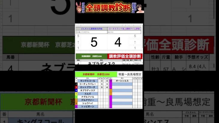 #京都新聞杯2025 #競馬予想ハイライト #全頭診断 #ロットブラータ　#エムズ　#ネブラディスク