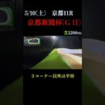 【買っちゃえばいいじゃん】京都新聞杯(ＧⅡ) 2025 #競馬予想