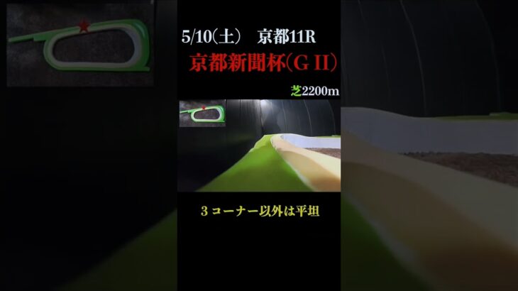 【買っちゃえばいいじゃん】京都新聞杯(ＧⅡ) 2025 #競馬予想