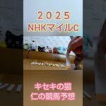 ＮＨＫマイルＣ2025  キセキの猫仁の競馬予想 #かわいい猫 #猫のいる暮らし