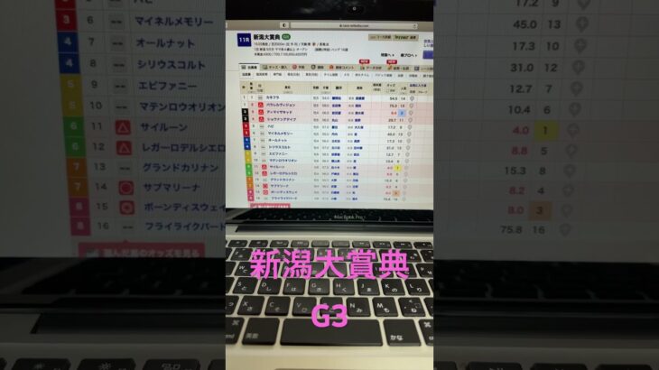 2025 新潟大賞典　予想と買い目　#競馬　#競馬予想　#新潟　#新潟大賞典