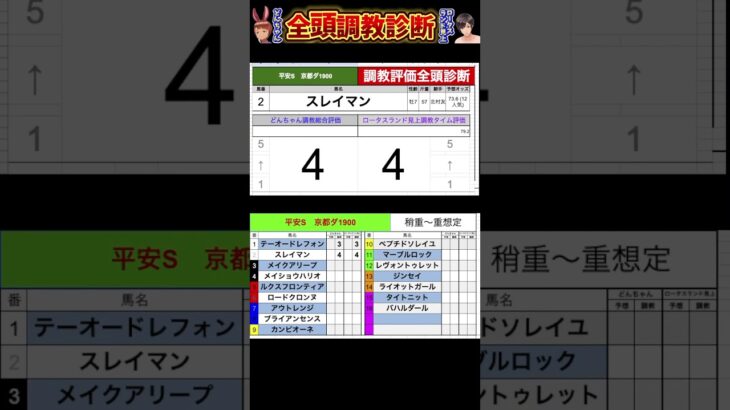 #平安ステークス2025 #競馬予想ハイライト #全頭診断 #メイクアリープ　#スレイマン　#テーオードレフォン　#メイショウハリオ