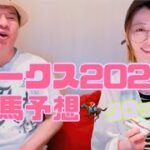 オークス2025 競馬予想　占ってみた。穴馬編