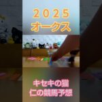 オークス2025　キセキの猫仁の競馬予想 #かわいい猫 #猫のいる暮らし