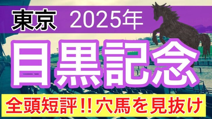 【目黒記念2025】蓮の競馬予想(全頭短評)〜オークスはタガノアビー穴馬推奨