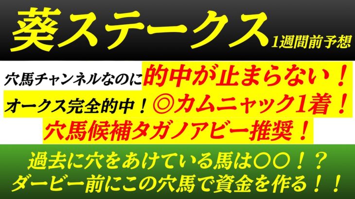 【葵ステークス2025】穴馬候補発表！オークス◎カムニャック！絶好調チャンネルが日本ダービー前日に大的中を目指す！！