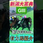【🔥新潟大賞典2025有力馬紹介🏇】 #競馬 #競馬予想 #新潟大賞典 #中央競馬 #新潟11r #short #shorts #新潟競馬 #馬 #horse #新潟競馬場