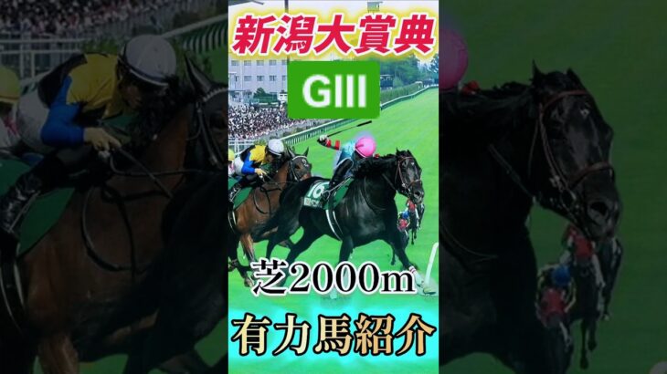 【🔥新潟大賞典2025有力馬紹介🏇】 #競馬 #競馬予想 #新潟大賞典 #中央競馬 #新潟11r #short #shorts #新潟競馬 #馬 #horse #新潟競馬場