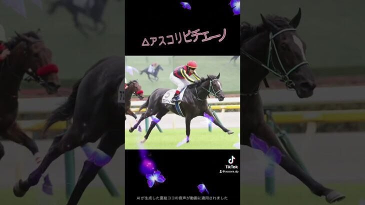 ヴィクトリアマイル2025本気予想！！#競馬 #中央競馬予想 #ヴィクトリアマイル2025 #青空競馬channel