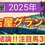 【名古屋グランプリ2025】蓮の地方競馬予想〜羽田盃の完璧的中に続け