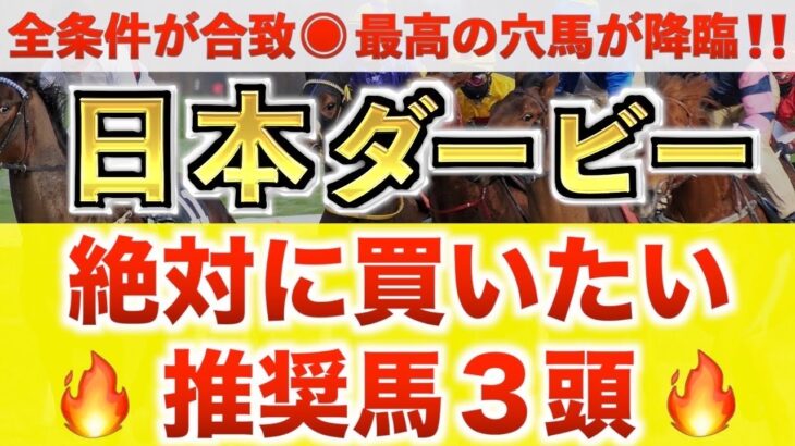 【日本ダービー2025 予想】ファンダム過去最高のデキ？プロが”全頭診断”から導く絶好の3頭！