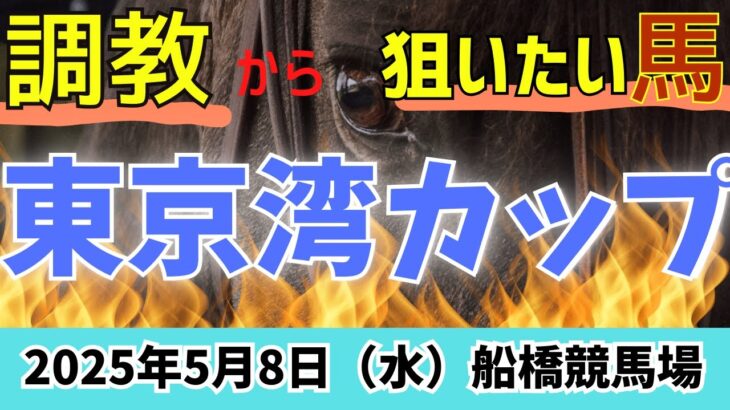 【東京湾カップ 2025】本命◎はこの馬！！【船橋競馬予想】