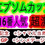 【競馬予想】エプソムカップ2025　圧倒的前有利！！　展開　騎手　コース全てが最高の東京巧者に期待