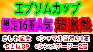 【競馬予想】エプソムカップ2025　圧倒的前有利！！　展開　騎手　コース全てが最高の東京巧者に期待
