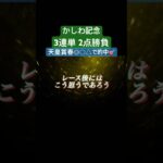 【競馬予想】かしわ記念2025 コスタノヴァ、ロードフォンス、タガノビューティー、ウィリアムバローズ、買うのはこの4頭のみ　#競馬 #馬まる