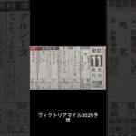 ヴィクトリアマイル2025予想動画
