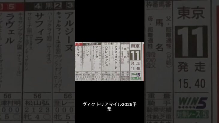 ヴィクトリアマイル2025予想動画