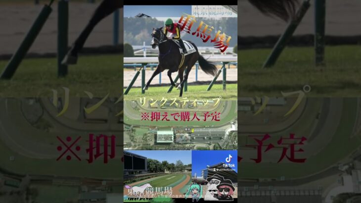 優駿牝馬2025競馬予想