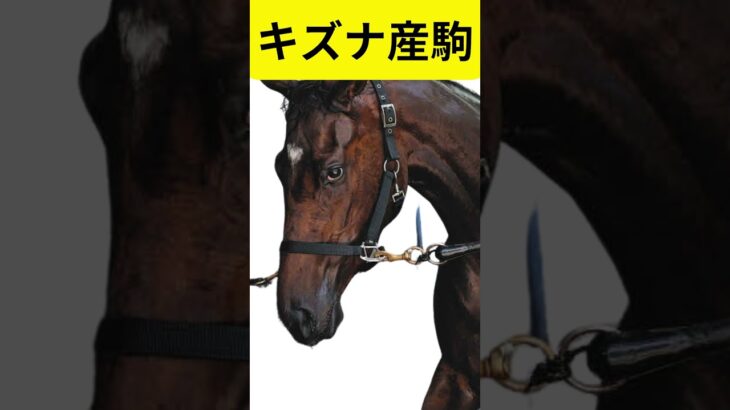 侮るな　キズナ産駒　レーゼドラマ #競馬 #中央競馬予想 #オークス2025