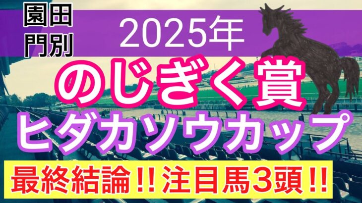【のじぎく賞・ヒダカソウカップ2025】蓮の地方競馬予想(最終結論)