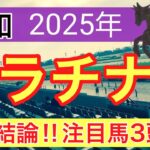 【プラチナカップ2025】蓮の地方競馬予想(最終結論)〜オークスはタガノアビー穴馬推奨