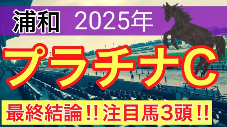 【プラチナカップ2025】蓮の地方競馬予想(最終結論)〜オークスはタガノアビー穴馬推奨