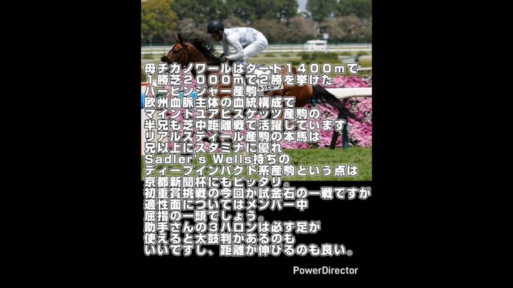 2025 京都新聞杯 競馬予想 ショート ワイド 馬連 京都競馬場 回収率アップ 競馬 予想 メインレース 競馬チャンネル #ショート#shorts#競馬#競馬予想
