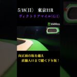 【買っちゃえばいいじゃん】ヴィクトリアマイル(ＧⅠ) 2025 #競馬予想 #win5