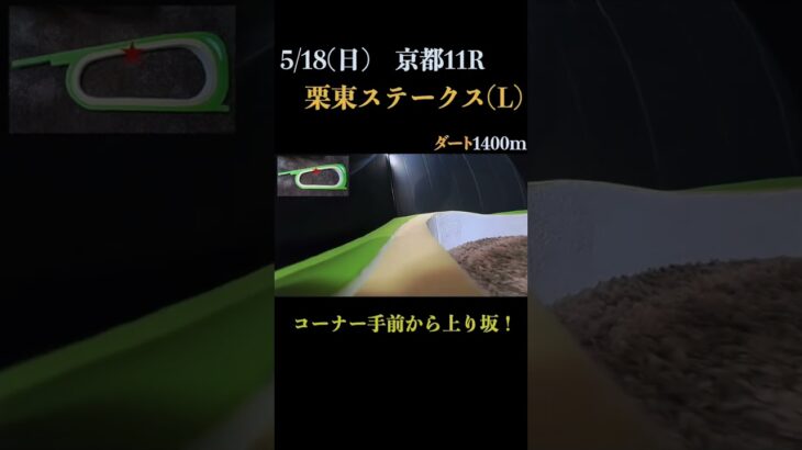 【買っちゃえばいいじゃん】栗東ステークス(Ｌ) 2025 #競馬予想 #win5