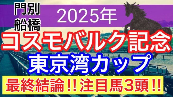 【東京湾カップ2025】【コスモバルク記念2025】蓮の地方競馬予想