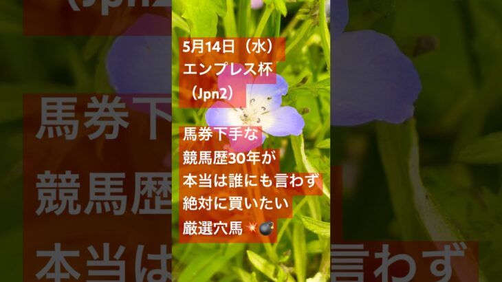 【エンプレス杯2025】穴馬サンオークレア💥馬券下手な競馬歴30年のエンプレス杯厳選穴馬考察#競馬予想 #川崎競馬