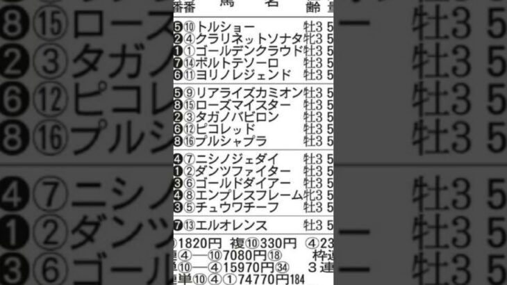 【競馬予想／次走狙ってみたい馬】2025年4月26日東京6レース6着リアライズカミオン「直線残り200メートルから前が詰まり、進路を変えながら追う不利があった」#競馬 #競馬予想 #東京競馬場