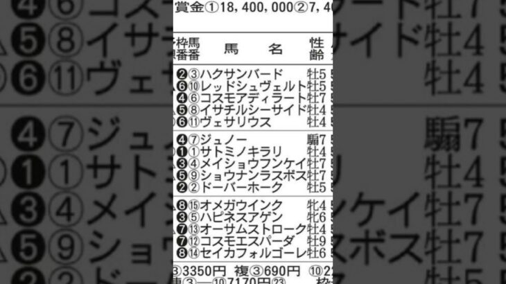 【競馬予想／次走狙ってみたい馬】2025年4月27日東京9湘南ステークス2着レッドシュヴェルト「直線外に出そうとしたところ進路が狭くなり追うのをやめる不利」#競馬 #競馬予想 #東京競馬場