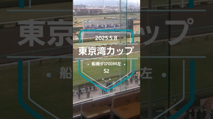 【東京湾カップ 2025】上位5頭予想！東京ダービートライアル、東京湾カップの開催です。1着馬に優先出走権が付与されます。少頭数ですが、面白い一戦だと思います。