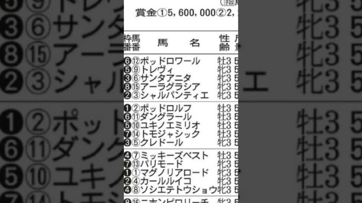 【競馬予想／次走狙ってみたい馬】2025年5月10日東京5レース2着トレヴィ「直線で4着馬にフタをされてしまい約200メートル追い出しを待たされる不利」#競馬 #競馬予想 #東京競馬場