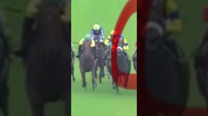【競馬予想／次走狙ってみたい馬】2025年5月10日東京9レース分倍河原ステークス4着レッドアトレーヴ「直線前が壁になり、まともに追えたのはゴール前150メートルだけ」#競馬 #競馬予想 #東京競馬場