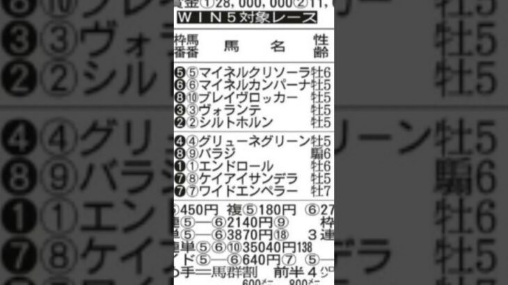 【競馬予想／次走狙ってみたい馬】2025年5月11日東京10メトロポリタンステークス2着マイネルカンパーナ「直線、前が狭くなり進路取りを二転三転する不利があった」#競馬 #競馬予想 #東京競馬場