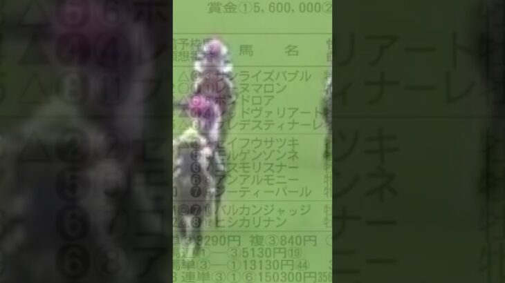 【競馬予想／次走狙ってみたい馬】2025年5月11日京都5レース2着レーヌマロン「ゴールまで残り200メートルのところで前が狭くなりブレーキをかける不利」#競馬 #競馬予想 #京都競馬場