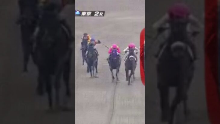 【競馬予想】2025年5月25日京都1レース◉テーオーライマン「前走、馬群で包まれて道中位置取りを下げる不利、直線で前が壁になり大外に出す不利があった」#競馬 #競馬予想 #京都競馬場