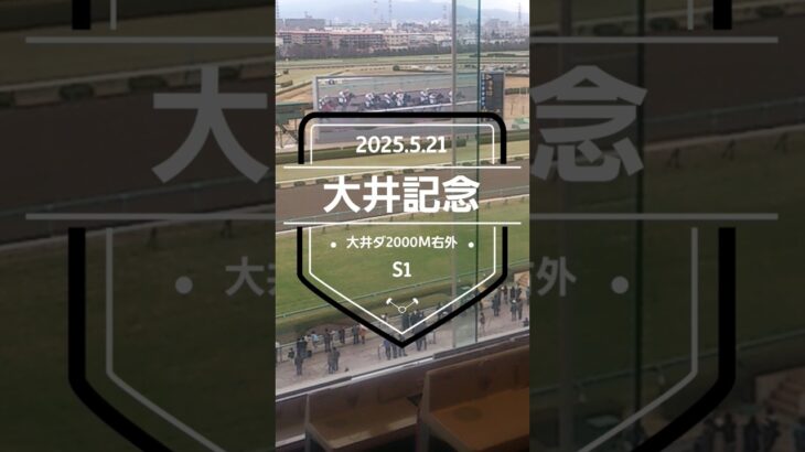 【大井記念 2025】上位5頭予想！4歳上オープン重賞、大井記念の開催です。ライトウォーリア、キングストンボーイ、キリンジ、オピニオンリーダーらが出走。