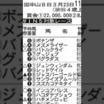 【競馬予想】2025年5月4日新潟11レース越後ステークス◉グッジョブ「前走3コーナー手前で前をカットされて手綱を引く不利がありました」#競馬 #競馬予想 #新潟競馬