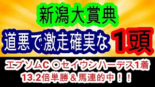 【競馬予想】新潟大賞典2025　大波乱率99 9%　雨の新潟で力を発揮する馬とは・・・