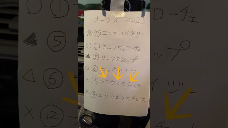 オークス2025最終予想#競馬#予想G1@キャリア40年以上のプロ馬券