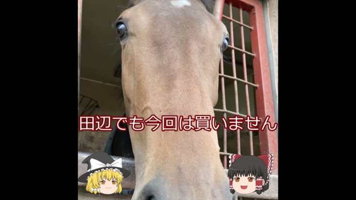 【2025オークス】サタデーサンライズ＃競馬＃競馬予想#shorts