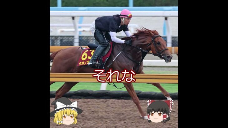 【2025オークス】タガノアビー＃競馬予想＃競馬#shorts