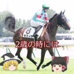 【2025ヴィクトリアマイル】サフィラ＃競馬予想＃競馬#shorts