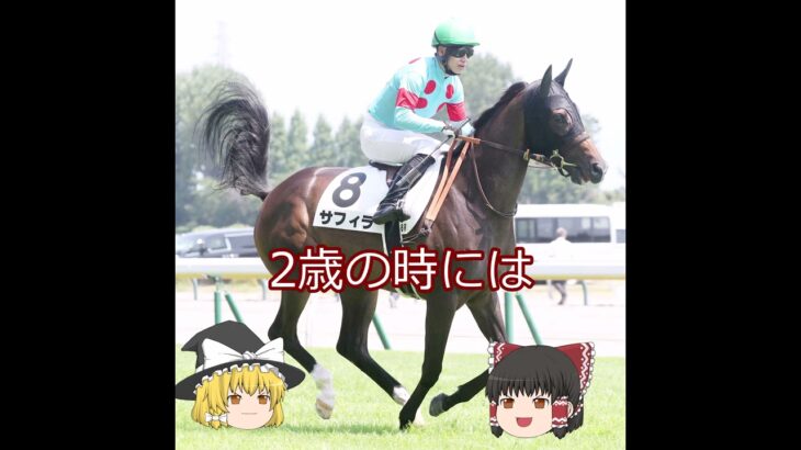 【2025ヴィクトリアマイル】サフィラ＃競馬予想＃競馬#shorts