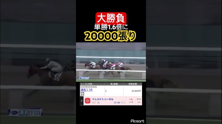 【大勝負】笹川騎手の2連勝に期待して単勝20000円賭けた結果… #競馬 #競馬予想 #jra #地方競馬 #ウマ娘 #ウマ娘プリティーダービー #ギャンブル #ギャンブル依存症 #武豊 #浦和競馬